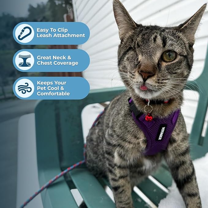Voyager Escape-Proof Step-in Lock Cat Harness & 5ft Neoprene-Handle Leash Set All-Weather Mesh with Reflective Stitching for Small to Large Cats by Best Pet Supplies, Purple, XS
