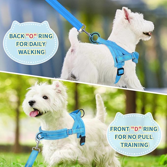 Lukovee No Pull Dog Harness and Leash Set, Soft Padded Small Dog Harness, Neck & Chest Adjustable Reflective Vest Puppy Harness with 4ft Lightweight Anti-Twist Dog Leash for Small Dogs (LBL, XS)