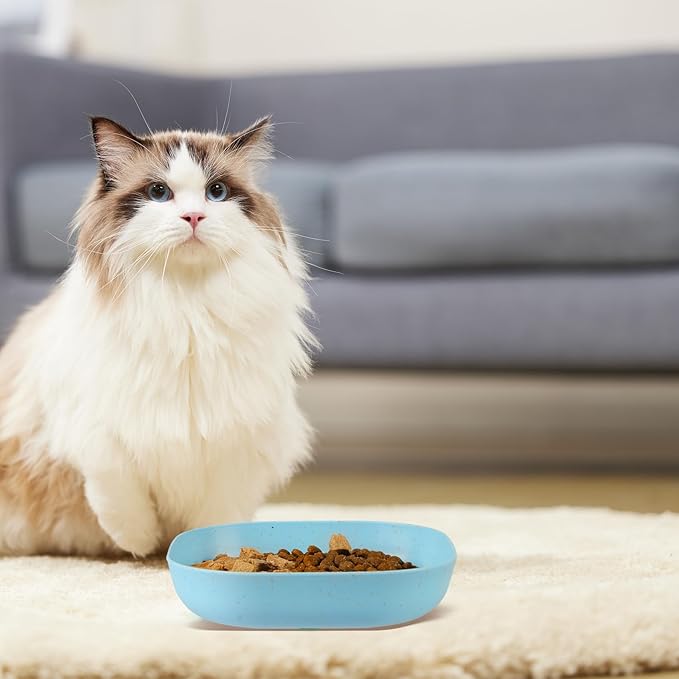 Cat Food Bowl Set, 6 inch Wide Shallow Cat Bowl for Relief Whisker Fatigue,Small Flat Cats Dish, Shallow Pet Feeding Dish or Plate for Kittens and Small Dogs (4Pcs)