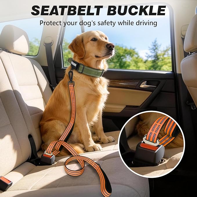 WINGOIN Dog Leash for Large Medium Small Dogs, Heavy Duty Dog Leashes with Double Handle, Poop Bag Holder, Car Seat Belt Buckle, Reflective Tactical Pet Lead for Walking, Training (Orange, 6FT)