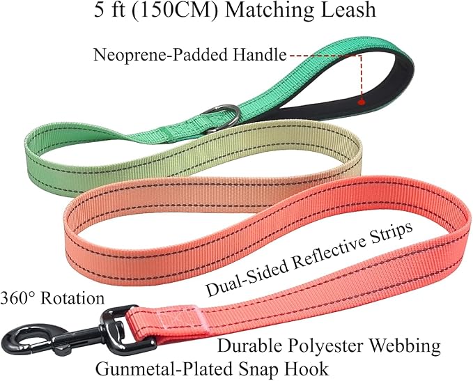 Dog Collar Leash Set, Gradient Color, with Safety Reflective Strips, 5 ft Matching Leash, Neoprene Padded Handle, Adjustable 4 Sizes for Small Medium Large Dogs.(XS, Green Orange)