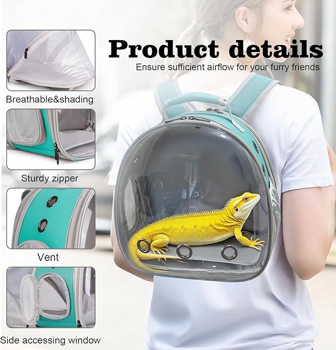 WEVONIGU Expandable Small Animal Backpack Carrier with Clear Bubble Window Large Space Travel Cage for Hedgehog Rat Parrot,Bearded Dragon,Sugar Glider,Airline Approved (Green, BE Backpack)