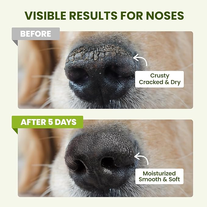 PawSono Lick-Safe Dog Paw & Nose Balm with Coconut Oil | All-Natural Moisturizer & Soother for Dry, Cracked Pads & Snout | Heat & Cold Pavement Protection Wax | Horse Hoof, Joint Care (L (2.6 oz))