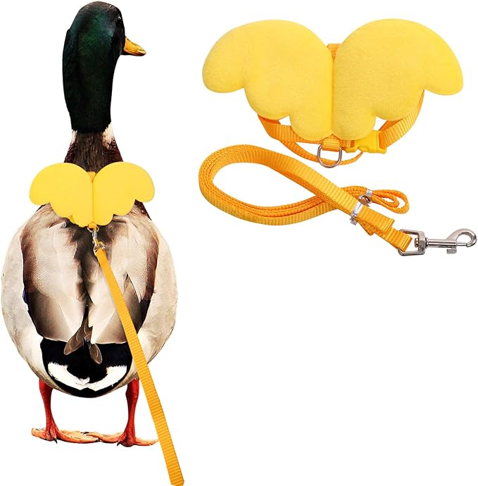 KAMA BRIDAL Duck Walking Harness and Leash Chicken Duck Outdoor Training Rope Adjustable Rope for Pet Poultry Hen Cock (M, Yellow)