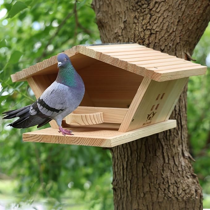 Premium Fir Wood Mourning Dove Nesting Box, 13.7" L x 7.2" H x 10.6" W Pigeon House, Ideal Outdoor Habitat for Pigeons - Easy to Install & Remove