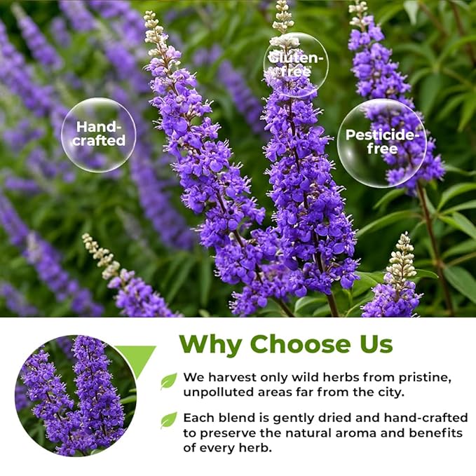4 oz. Chaste Tree Berry Сhasteberry Tea Chaste Tree Berry Tea Herb (Vitex Agnus-Castus) - 113g Herbal Vitex Sauzgatillo