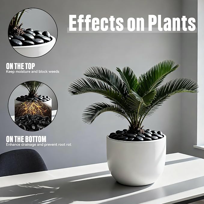onlyfire 2 lbs Natural Black Polished Pebbles, 1"-2" Decorative River Rock | Gravel Stone, For Indoor Plants, Vases, Aquarium, Succulents, Outdoor Garden Landscaping and Home Decorv