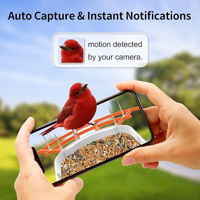 Bird Feeder with Camera,Smart Bird Feeder Camera with Solar Powered,AI Identify Species,Birds Watching,Auto Record FHD 2K Feathered Visitor Video in Backyard,Ideal Gifts for Birds Lovers