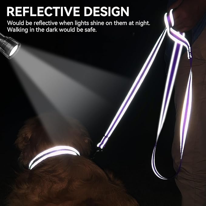 Joytale Dog Leash, 5 FT Double-Sided Reflective, Padded Handle Nylon Heavy Duty Leashes for Medium & Large Dogs Walking, Purple