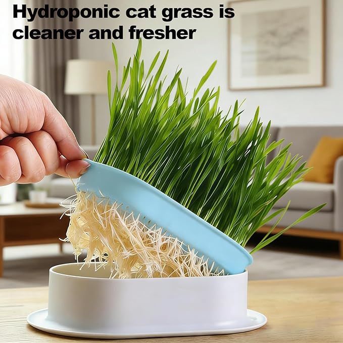 2Pcs Cat Grass Planter, Plastic Wheatgrass Planting Trays Hydroponic Cat Grass Growing Kits for Indoor Cats Soilless Nursery Box Pet Grass Pot (2 Color)