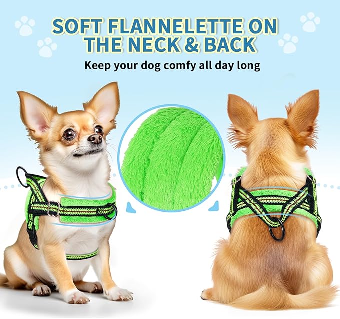 Lukovee Soft Padded Small Dog Harness (X-Small, Green) with 4ft Lightweight Leash, Adjustable Reflective Vest for Walking, Running, Hiking, Training