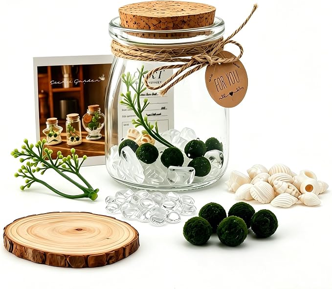 Moss Balls Glass Terrarium Kit,5 Pcs Lucky Moss Balls Pets,White Crystal,Artificial Plants,Aquarium Decor DIY Starter with Moss for Adults and Kids, Green Decor