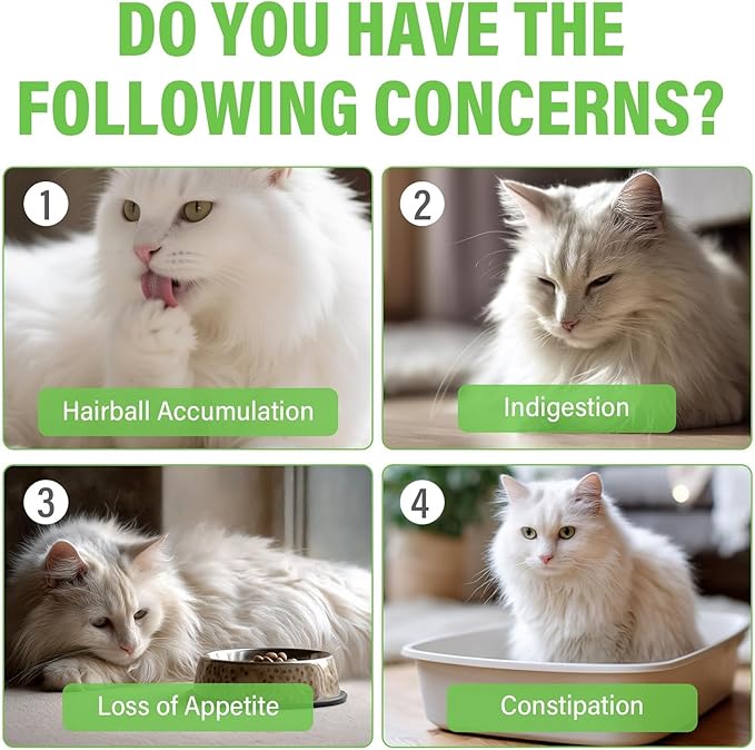 Cat Grass Treats for Indoor Cats | Salmon & Catnip Dental Snacks | Hairball Control & Teeth Cleaning | Freeze-Dried Training Rewards