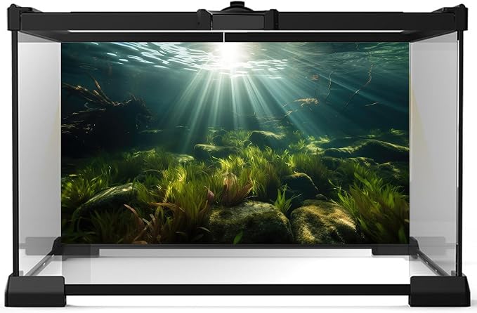 Ocean Floor Fish Tank Background Underwater Stone Aquarium Background Seaweed Branches Sunlight Fish Tank Backdrop Decoration Mysterious Aquarium Backdrop Durable Vinyl 24x16in