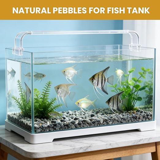 1/8 Inch Aquarium Gravel, Small Pebbles for Fish Tank & Indoor Plants, Natural Mini River Rocks for Succulent Soil Mix, Drainage, Terrarium & Vase Filler - Gray, 6 lb