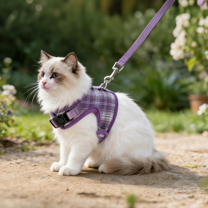 AIITLE Adjustable Bunny Harness & Leash Set - Soft Mesh Liner, Comfort Fit Plaid Pattern Vest with Magic Tape Design, Portable for Small Animal Pets Rat Squirrel Ferret Puppy Cat, Purple L