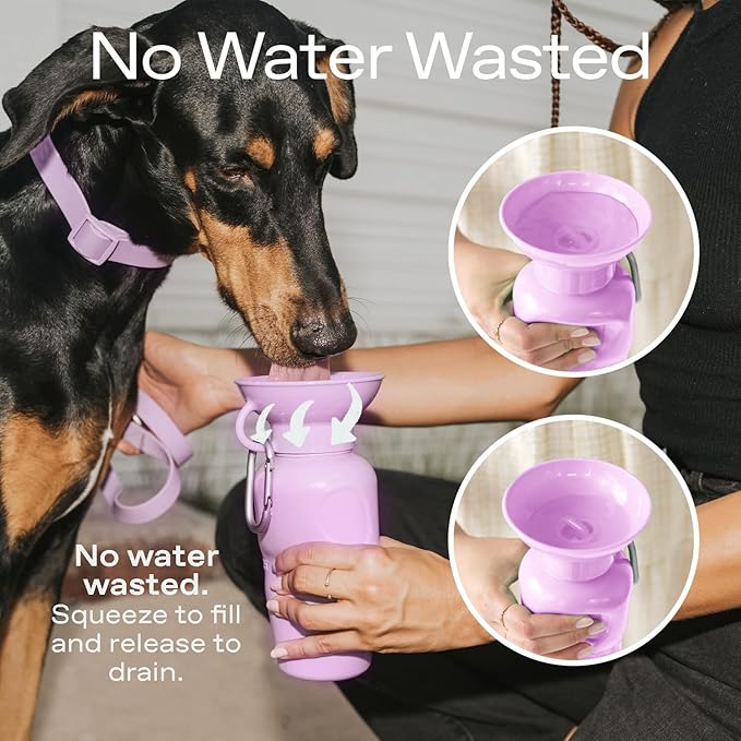 Springer Dog Water Bottle | Portable Travel Drinking Feeder Dispenser for Dogs & Puppies | As Seen on Shark Tank | Leak-Proof Bowl | BPA-Free | Outdoor Walking, Hiking & Travel | 15oz Blue