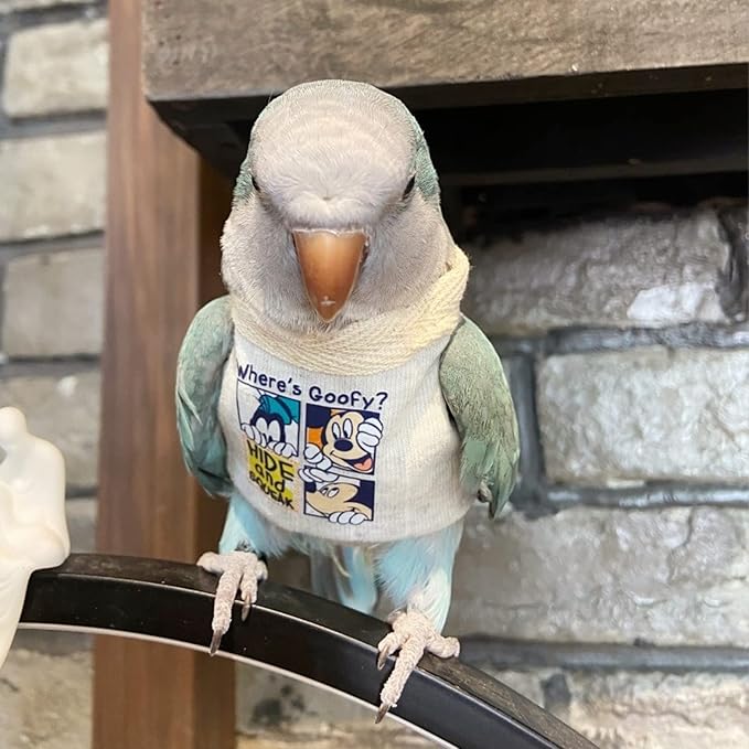 Bird Costume Diaper Flight Suit Frog Shape Hoodie Clothes Cosplay Photo Prop for Parrots Parakeet Cockatiel Sun Conure, Small Animals Apparel (White Without Hat, Medium), Green,White