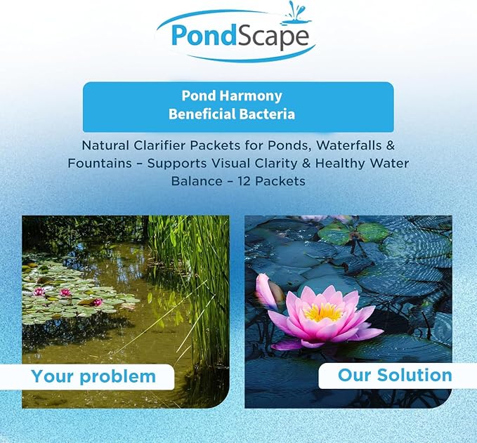 PONDSCAPE Harmony Beneficial Bacteria – Natural Clarifier Packets for Ponds, Waterfalls & Fountains – Supports Visual Clarity & Healthy Water Balance – 12 Packets