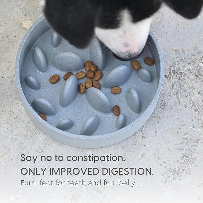 Slow Feeder for Dogs|Dog Bowl Small|400 Ml|Pet Bowl Made with Rice Husk and Bamboo Fibers|Dog Food Bowl|