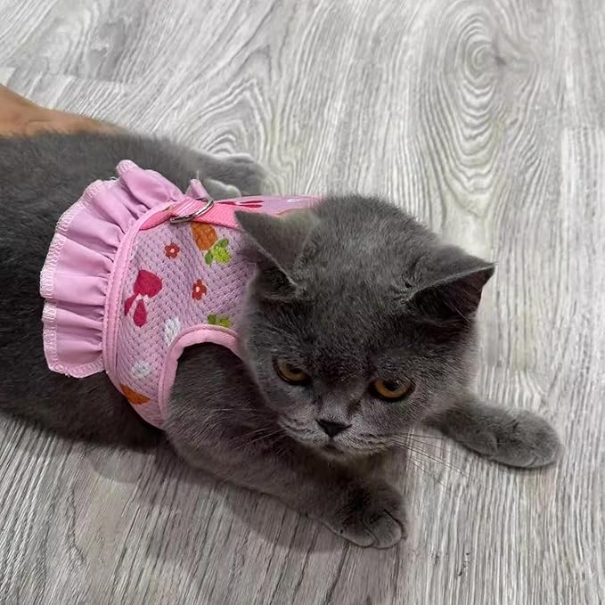 Bunny Harness and Leash, Guinea Pig Clothes Ferret Rabbit Rats Hamster Soft Mesh Escape-Proof Vest Set Cute Carrot Pattern for Chinchilla Small Animals Kitten Puppy Orange S