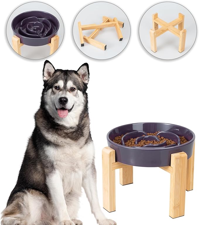 Elevated Slow Feeder Dog Bowl Large Breed, 8.8 Inch Ceramic Slow Eating Bowl with Bamboo Stand, Anti-Choking Raised Maze Design for Medium to Large Dogs, 3.2 Cup, Purple