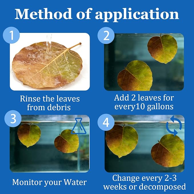 100Pcs Indian Almond Leaves Bodhi Leaves Aquarium Decor Water Conditioner | Sealed Package,for Betta Fish Shrimp Goldfish Guppy,Betta Fish Tank Decor,Balance PH,Natural Tannins,Axolotl Tank Accessories