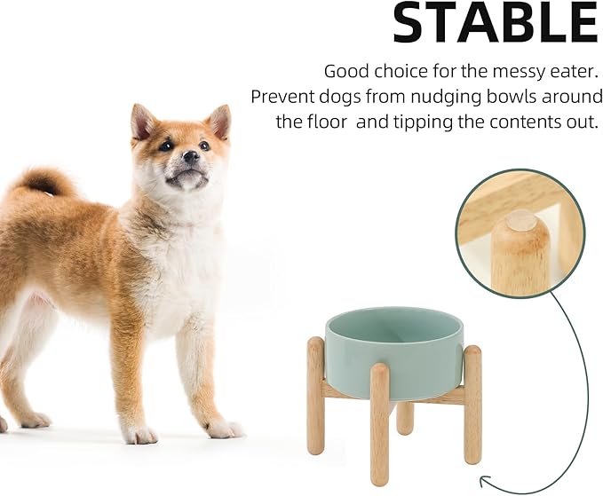 Havniva Ceramic 6.1inch Raised Dog Bowl with Stand for Small and Medium Dog Dish Pet Food and Water Bowl (Single Bowl with Stand - Light Green)