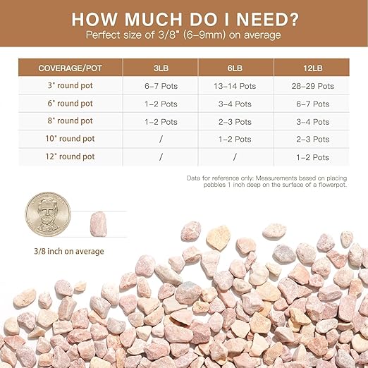 NUPICK 6 lbs Pebbles for Indoor Plants, 3/8 Inch Pea Gravel for Fish Tank, Decorative Rocks for Succulent, Natural River Stones for Vases, Cactus, Landscaping, Bird Bath, Aquarium, Peach