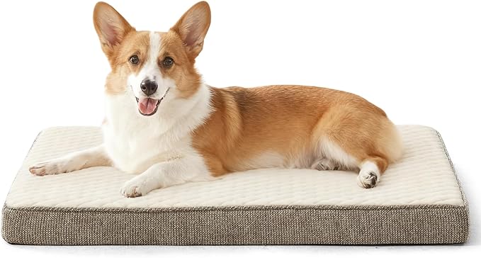 JOEJOY Orthopedic Medium Dog Bed, Washable Dog Crate Bed Medium Sized with Removable Cover, Egg Memory Foam Pet Beds, Beige, 29"x18"