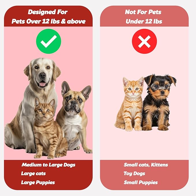 Pet Toothbrush for Dogs, Cats with Soft Bristles - Easy Teeth Cleaning & Dental Care, Non Slip Dual Head Dog Toothbrush for Medium & Large Pets, Toothpaste Not Included (Pack of 4(Multi))