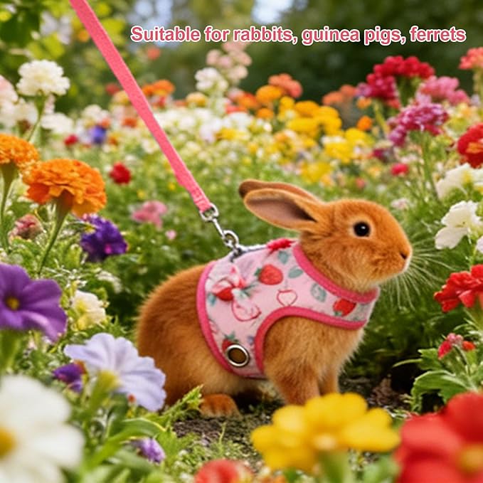 Small Pet Harness and Leash, Escape Proof Rabbit Vest with Soft Edges Dual Safety Buckles for Bunny Guinea Pig Ferret Chinchilla (M)