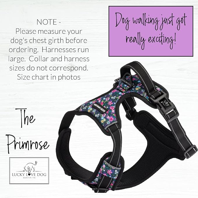 Lucky Love Dog No Pull Dog Harness, Adjustable and Easy to Walk, Cute Patterned Harness for Large Male & Female Dogs - Primrose, Large