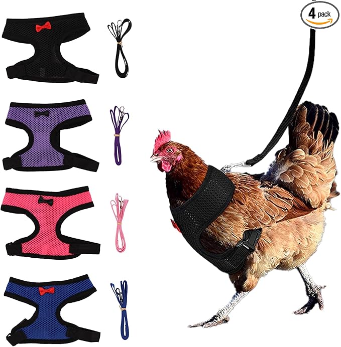 4 Pcs Chicken Harness and Leash, Adjustable Elastic Training Chicken Leash for Hens Duck Goose Pet (Medium)