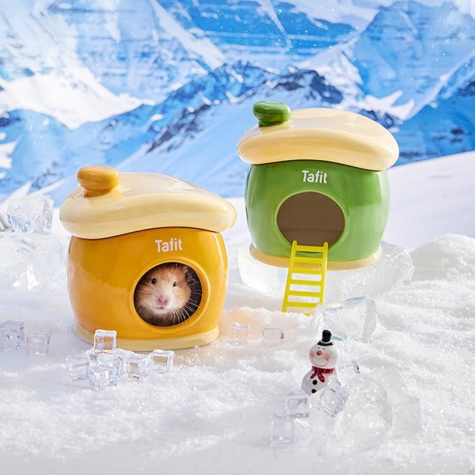 Ceramic Igloo Hamster Hideout - Green Small Animal Habitat Decor Hut for Syrian & Dwarf Hamsters, Gerbils, Mice, Rats - Four Seasons Home House