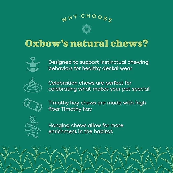 Oxbow Enriched Life Apple Stick Dangly, Rabbit Toys, Guinea Pig Toys, Enrichment for Bunny, Guinea Pig, Hamster, Rabbit, Chinchilla, Rat, Chinchilla Cage Accessories, Small Pet Accessories for Cage