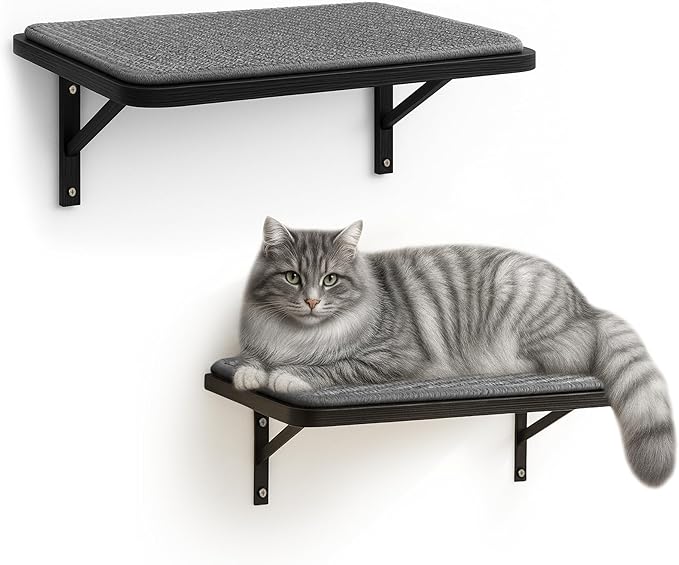 Cat Wall Shelves Set of 2, Black Solid Wood Cat Window Perch with Grey Sisal Cushion, Wall-Mounted Space-Saving Climbing Bed, Lounging Shelf for Kittens & Cats, Black Furniture for Indoor