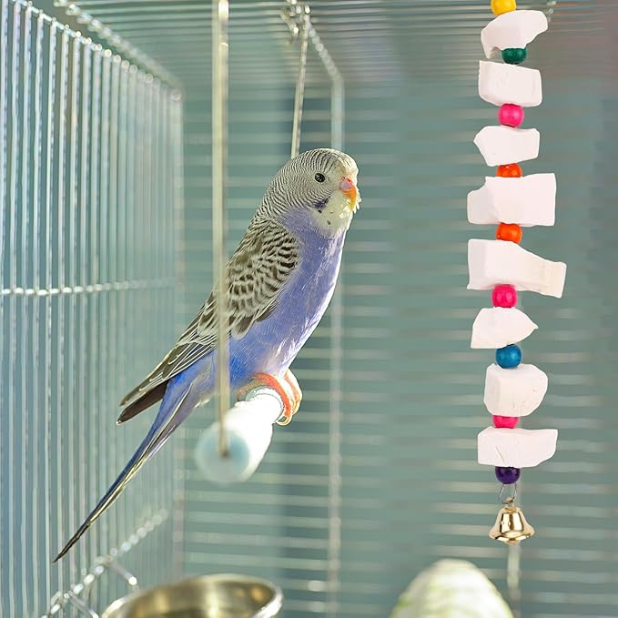 Penitue 2pcs Bird Chew Toys with Calcium Cuttlebone Cuttlefish & Beak Grinding Stone, Natural Perch Cage Accessories for Parakeets, Budgies, Cockatiels Conure Parrot Lovebirds & Small to Medium Birds