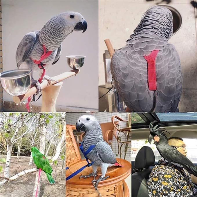 XISAOK Parrot Bird Harness Leash Supplies Adjustable Anti-Bite Training Rope Outdoor Activities Flying Traction Straps Band