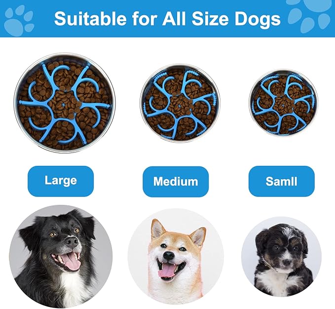 Anipaw Dog Slow Feeder Bowls Silicone Spiral Pet Food Feeder Insert to Slow Down Eating for Large Medium Small Breed Dogs Perfect with Stainless Steel Glass Ceramic Pet Bowls (Blue)