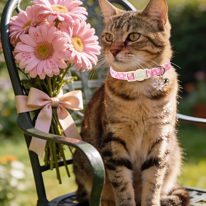 2 Pack Pink Floral Cat Collars Breakaway with Bell, Safety Buckle Daisy Cat Collar for Girl Cats and Small Dogs，Adjustable 7-12 Inch,Pet Supplies Accessories
