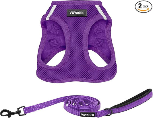 Best Pet Supplies Voyager Step-in Air All Weather Mesh Harness and Reflective Dog 5ft Leash Combo with Neoprene Handle, for Small, Medium and Large Breed Puppies - Purple, Large