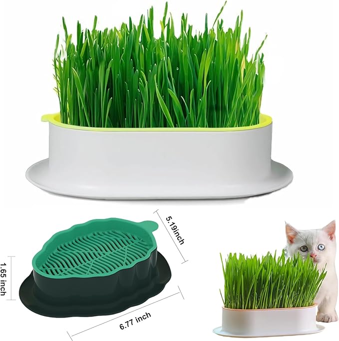 2Pcs Cat Grass Planter (No Seeds Included) Wheatgrass Planting Trays Hydroponic Cat Grass Growing Kits for Indoor Cats Soilless Organic Nursery Box Pet Grass Pot (M)