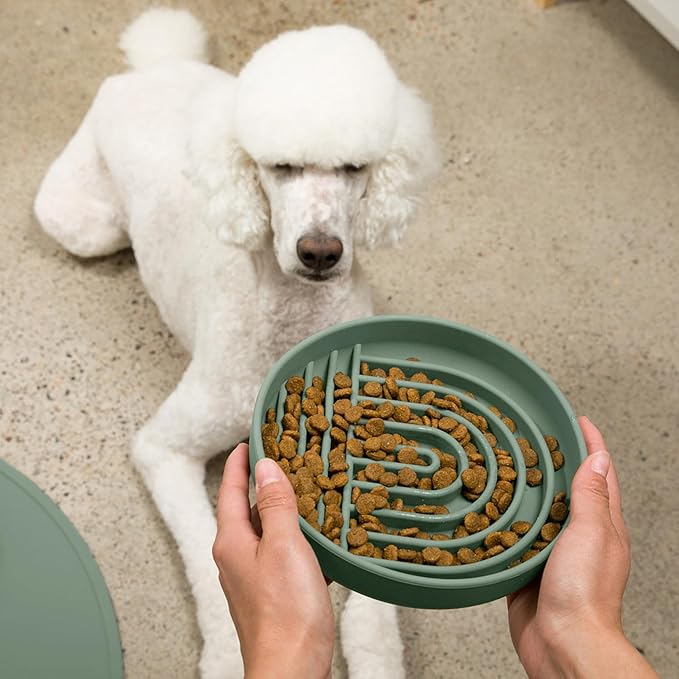Should We Go? Slow Feeder for Dogs & Puppies, The Slowdown Bowl Silicone Slow Eating, Modern Lick Mat Design, Reduces Gulping, Fits 2.5 Cups, 9.5” Across x 1.5” Tall, Mealtime Challenge, Large-Spruce