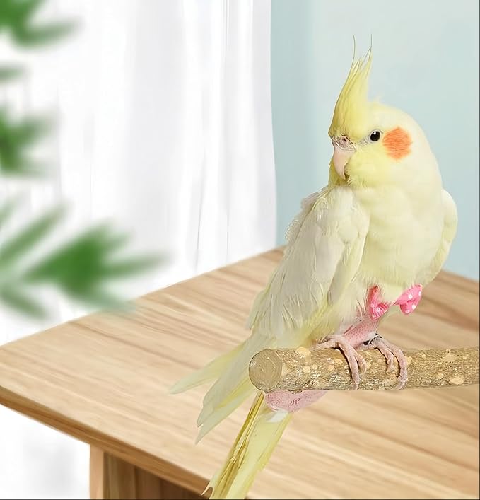 2Pcs Bird Diapers Bird Harness Flight Suits Diapers with 80 Inch Flying Leash Parrot Nappy Washable Cute Urine Wet Suit for Cockatiel Conure Macaw Budgies Parakeet-Rabbit&Watermelon,M