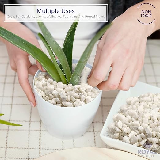 Royal Imports River Rocks, Aquarium Gravel – White 0.25" Gravel - 5 lbs | Decorative Ornamental Vase Filler Pebbles for Potted Plants, Terrariums, Vases, Succulents, Fish Tank Gravel, DIY & Crafting
