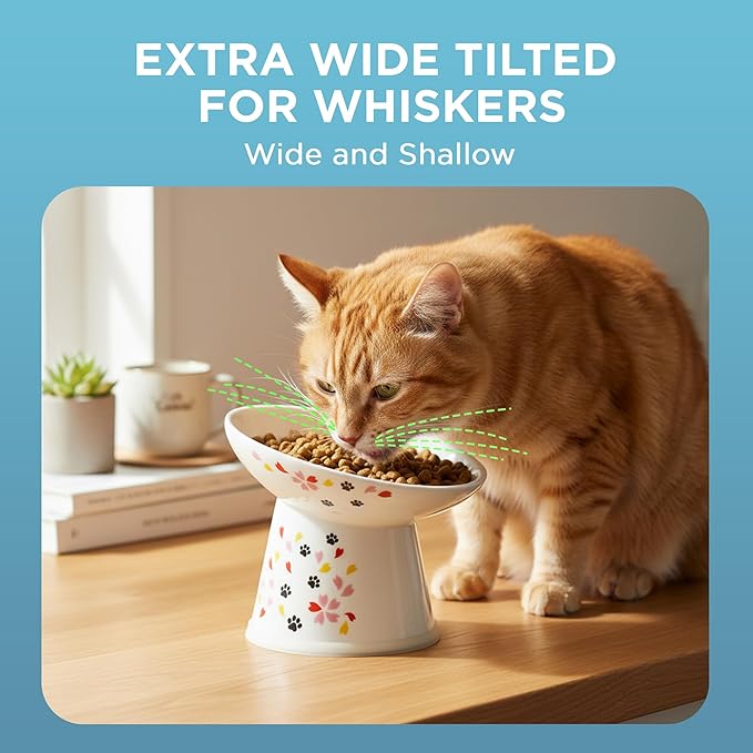 Necoichi Raised Cat Food Bowl – Ceramic Elevated 15° Tilted Bowl for Whisker Fatigue, Dishwasher & Microwave Safe, Non-Slip Anti-Vomiting Ergonomic Design (Sakura Floral, Extra Wide, 1.5-Cup Capacity)
