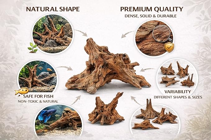 Azil Natural Driftwood 9''-12'' (2 Pieces) – Perfect Aquarium Decoration for Fish Tanks, Freshwater Aquariums, Terrariums, Aquascaping, Hardscaping, Aquatic Plants