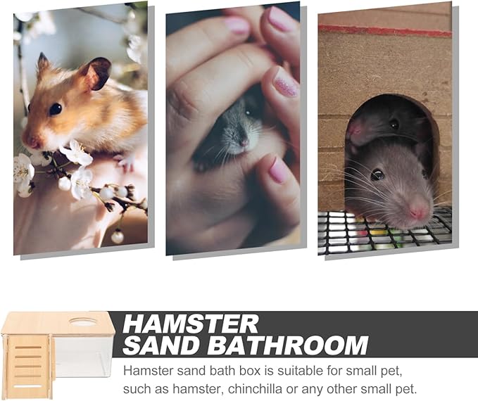 Ipetboom Hamster Sand Bath Kit Chinchilla Dust Bath House for Small Animals Transparent Reusable