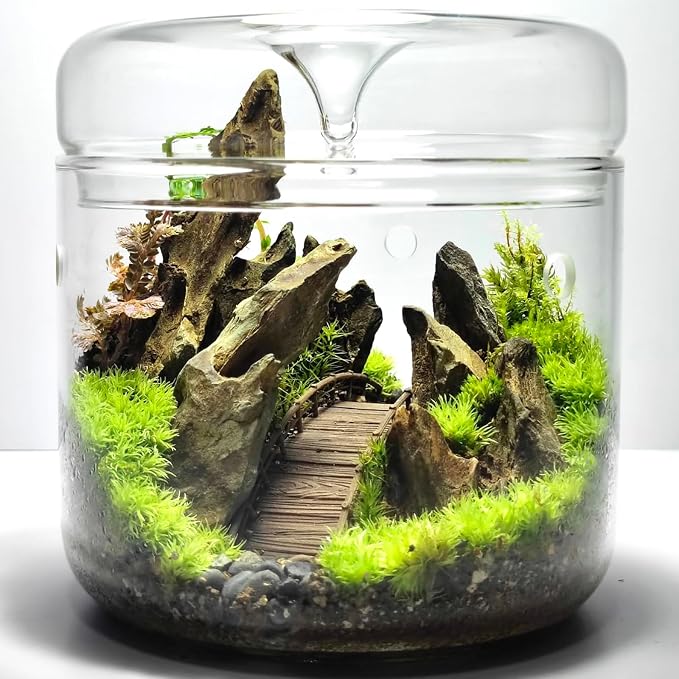 Natural Rocks Dragon Stone 1-2.5 Inches Decorative Rocks for Miniature Terrariums,Fairy Gardens,Bonsai,DIY Crafts, Aquariums Dioramas & Wargaming-1lb